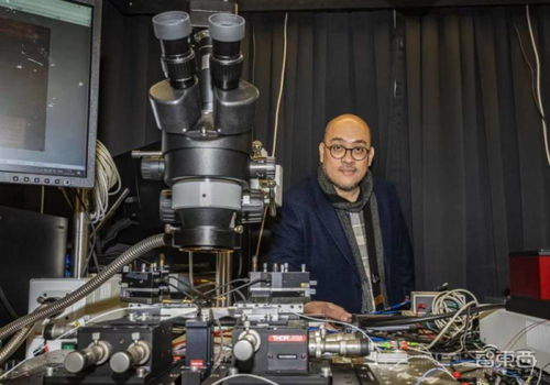 科學家研發(fā)新型光子芯片 用聲波有效抗噪,突破數據傳輸瓶頸