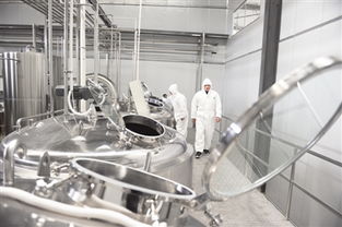 逐勢創(chuàng)新 搶占市場